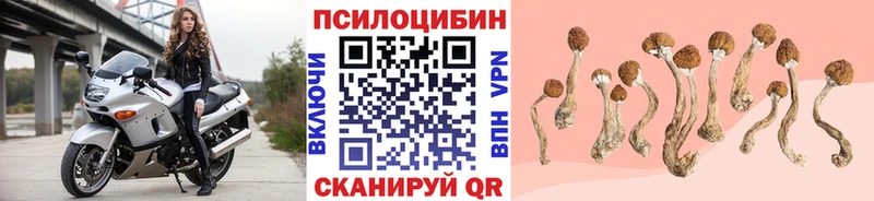 Галлюциногенные грибы прущие грибы Слободской